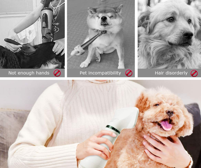 2 in 1 Portable Home Pet Hair Dryer