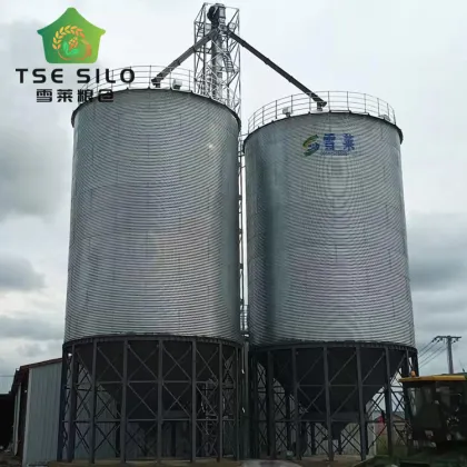 100m³ Farm Livestock Feed Silo for Pig Farm Feeds