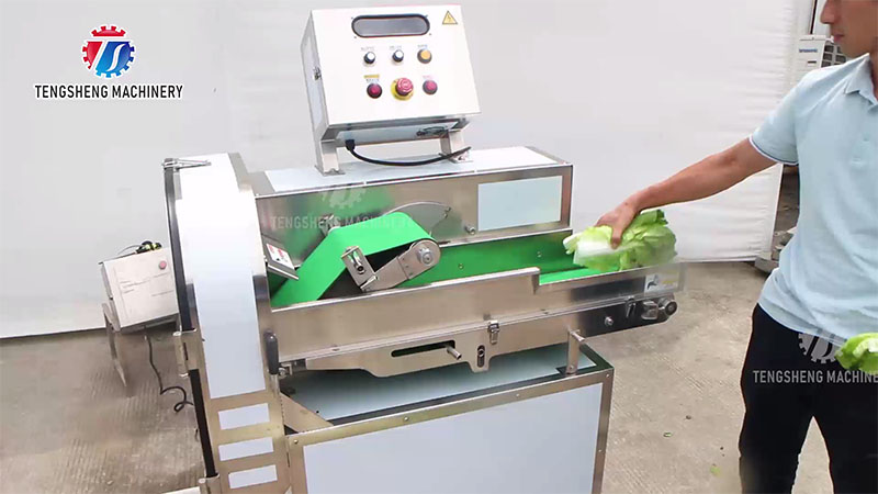 Commercial Vegetable Cutting Machine