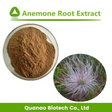Pure Natural Anemone Root Powder Extract Anemone Extract