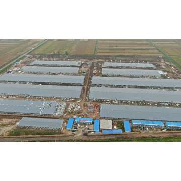 Proyecto de industrialización de la cría de cerdos moderna del condado de Huaiyuan