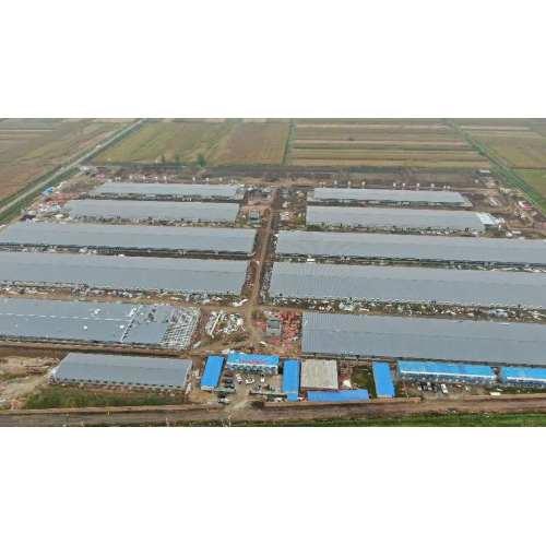 Proyecto de industrialización de la cría de cerdos moderna del condado de Huaiyuan