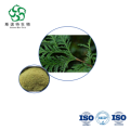 Chinese Arborvitae Leaf Extract - Bulk 10:1 for Hair & Scalp Health Supplements