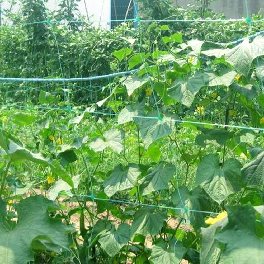 Malha de suporte de planta de escalada para vegetais