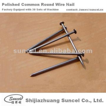 Common Round Nails and Black Nails and Polished Nails