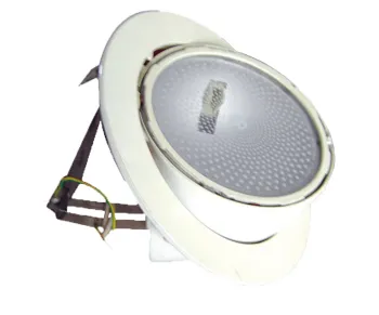 70W /150W Ceiling Light/Down Lamp for Indoor Decoration Using (SDFL320A)
