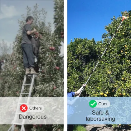Dried Blueberry Picker: High-Altitude Blue Berry Fruit Picker