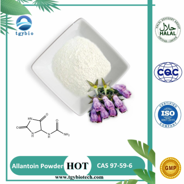 Top Sell Hair Care Cosmetic Grad Allantoin Pulver