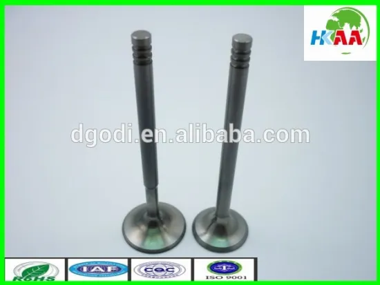 Custom TS 16949 Engine Intake Inlet Valve Exhaust For 96440081 96440079