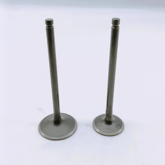 Competitive Prices for 3RZ Intake and Exhaust Valve - Toyota 3RZ Engine Valve