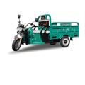 Green cargo carrying and manned tricycle