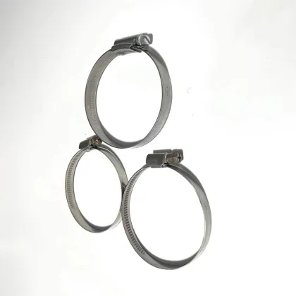 Hose Clamps and Pipe Clamps