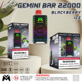 Gemini Bar Puff 22000 electronic cigarette