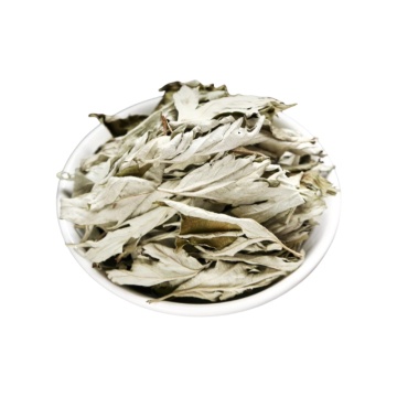 Hemostatic Applications of Artemisia Argyi in Herbal Medicine