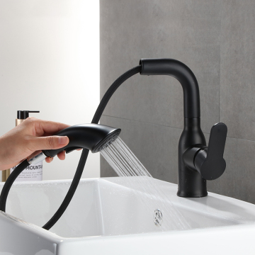 European and American Brass Pull-Out Wire Braided Flexible Faucet Hose
