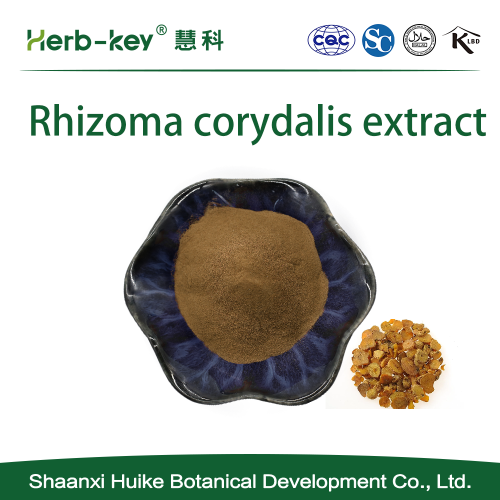 10: 1 Poudre d'extrait Rhizoma Corydalis