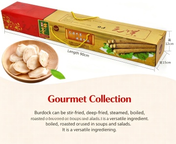 Yunnan Organic Fresh Burdock Root for Cooking