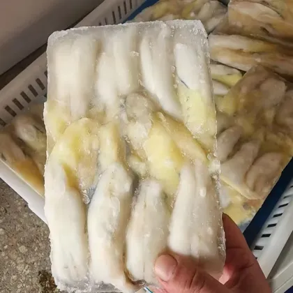 Frozen Illex Squid Roe