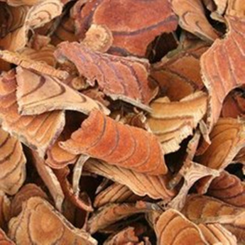 High Quality Millettia Extract Millettia Extract Powder