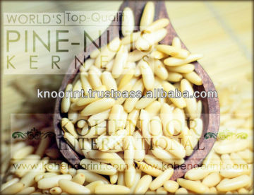 Pine Nuts Kernels