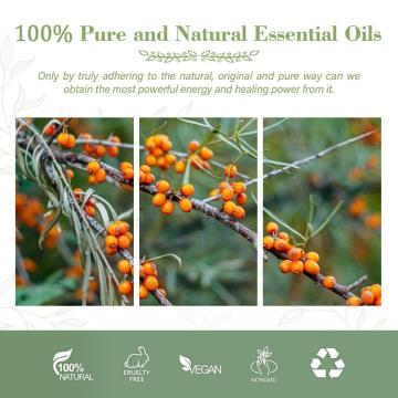 Best Price Seabuckthorn Extract Oil Organic Sea Buckthorn Seed Oil Food Cooking Oil