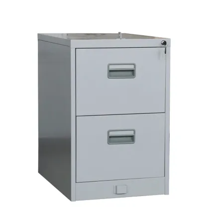 Secure 2 Drawer File Cabinet