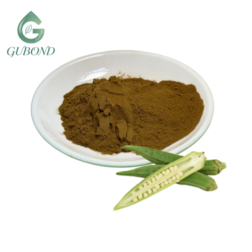 مستخلص البامية النقية 20 1 مسحوق مستخلص Abelmoschus esculentus