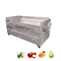 Commercial Carrot Washing and Peeling Machine