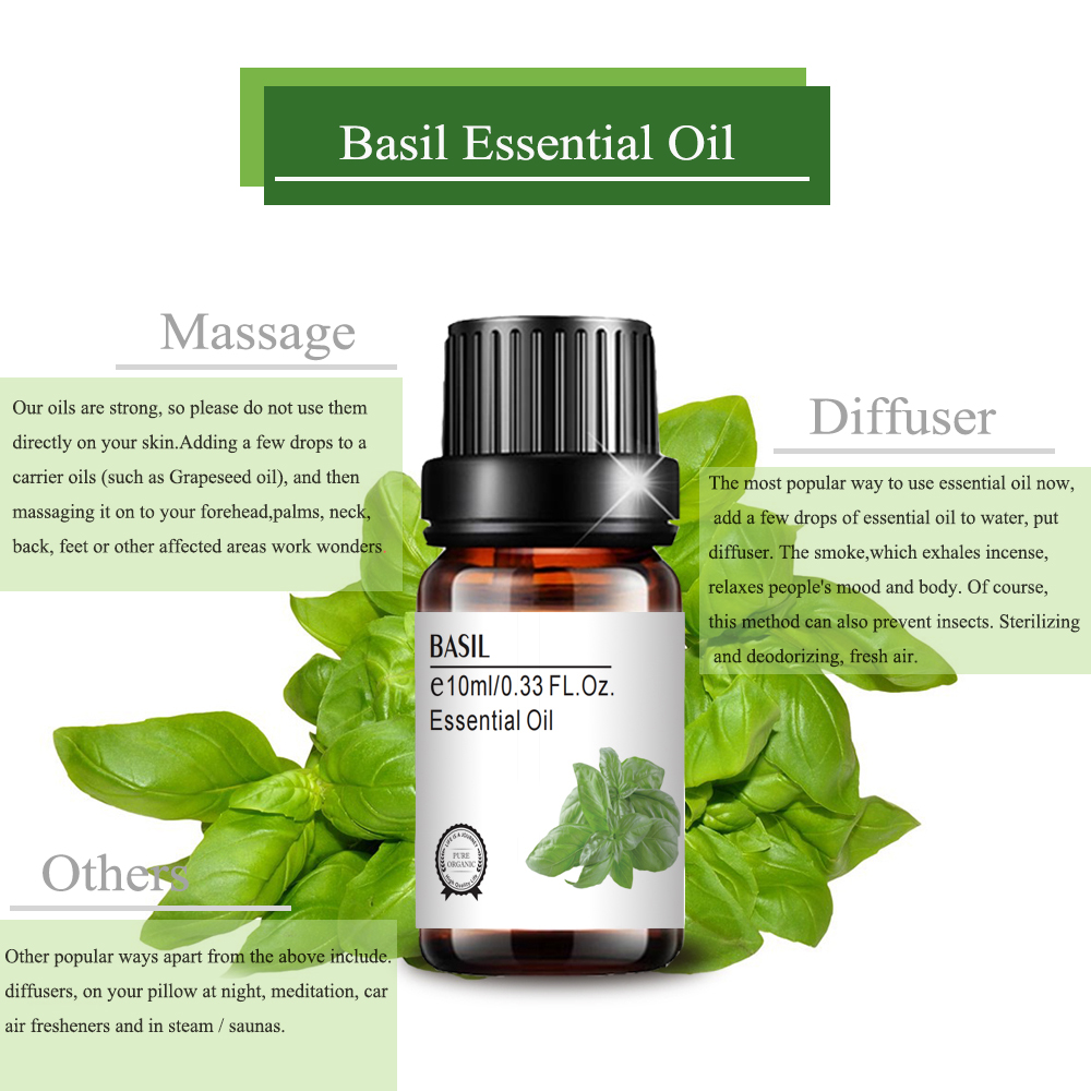 Pure Aroma Basil Essential Oil Padritor de etiqueta privada personalizada