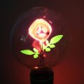 Flower pattern decorative LED light bulb