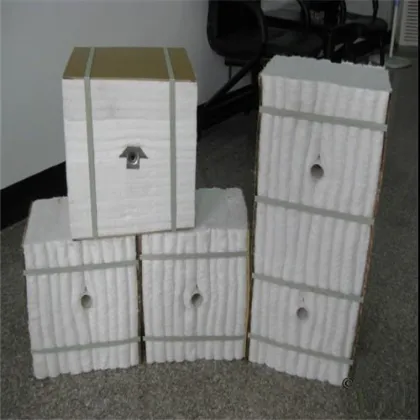 Ceramic Fiber Module