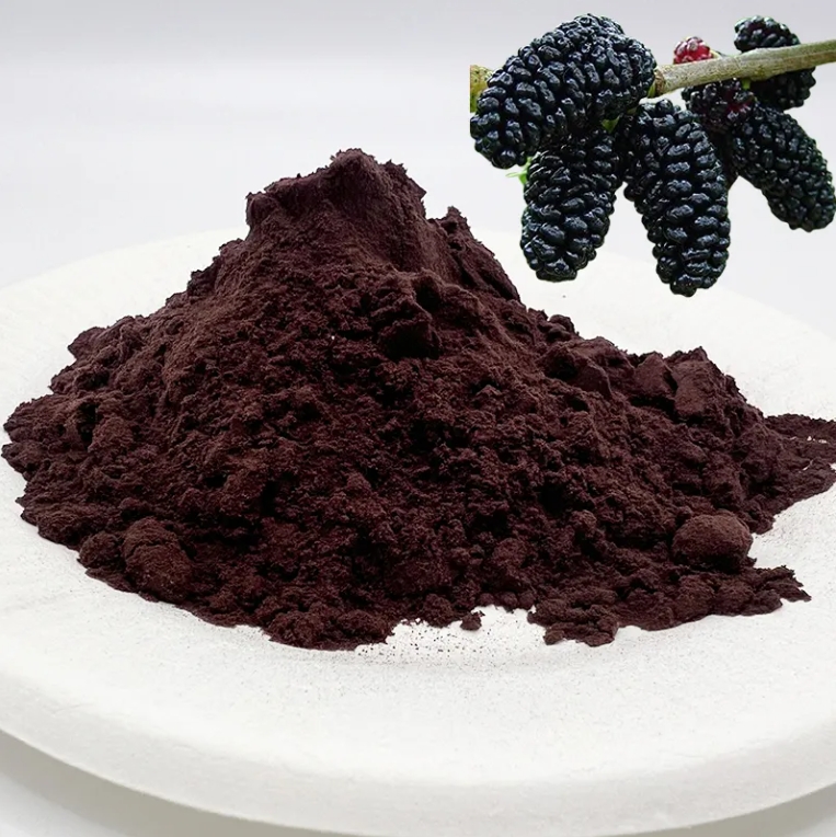 Natural Organic Pure Blueberry Powder