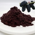 Polvere di frutta di gelso naturale puro al 100%