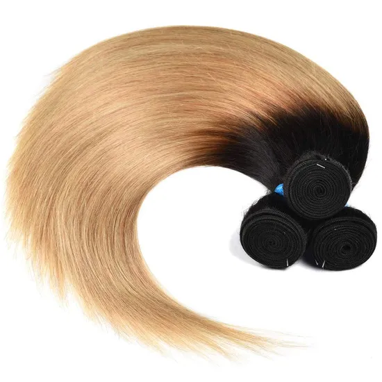 Free Sample Grade 12 Mink Wet And Wavy Brazilian Wholesale Hair Silky Straight Topper Virgin Hair Bundles High Ratio Color 1B/27