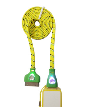 Heart Flashing Braid USB Cable Charger for iPhone