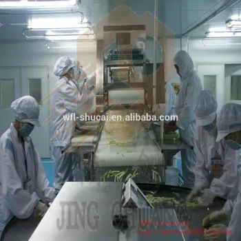 Fruit&Vegetable Processing Line/IQF Vegetable Processing Line