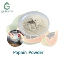 Polvo de enzima papaína para hidrólisis de proteínas, salud digestiva