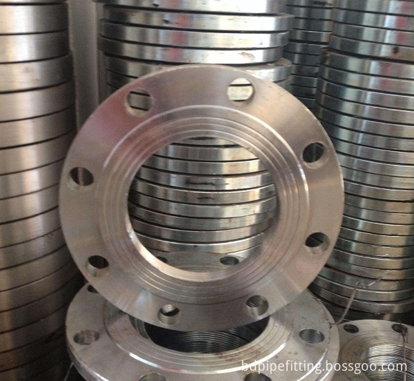 Stainless Steel Threaded Flange