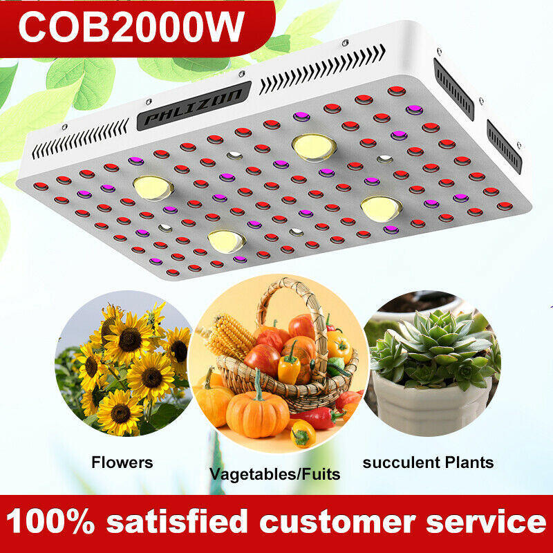 2000W COB LED Grow Light