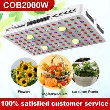 2000w Cob Plant Grow Light Hydroponic Vagitables