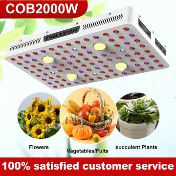 2000W COB-installatie Grow Light Hydroponic Vagitables