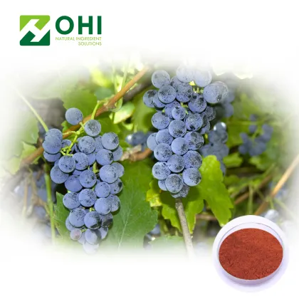 Grape Skin Extract Resveratrol 98%