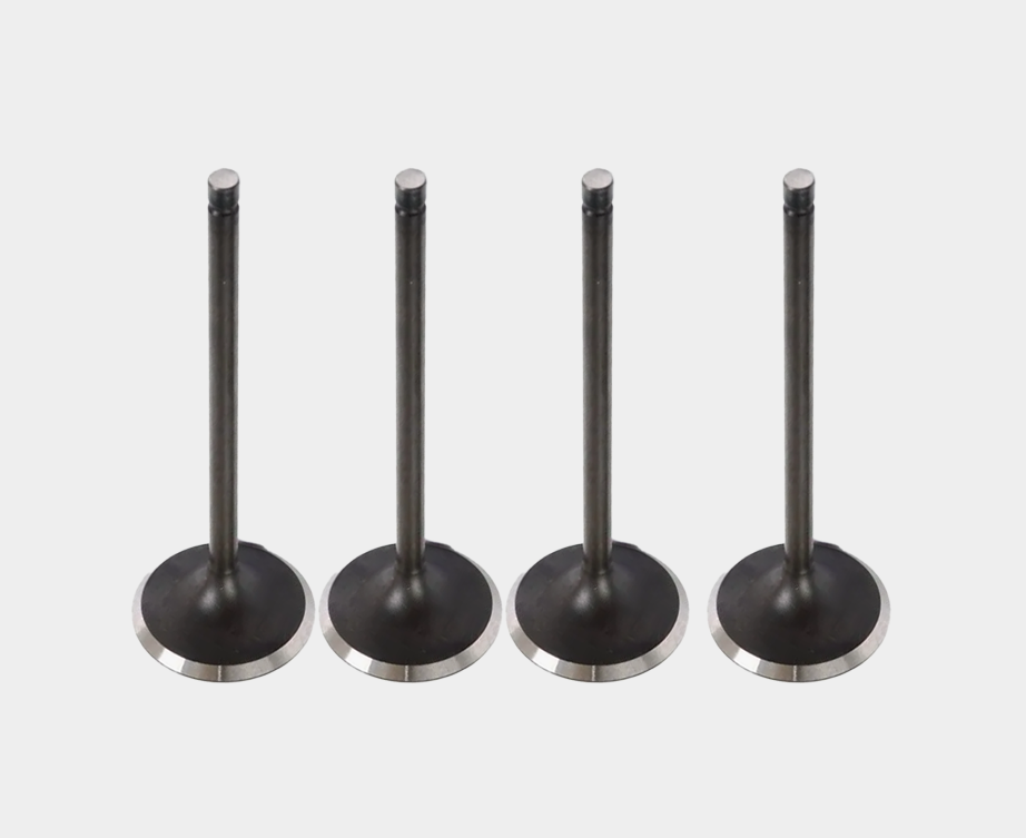 7701475894 Intake Valve for Engine