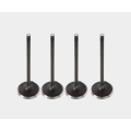 Premium Replacement Intake Valves for Diesel