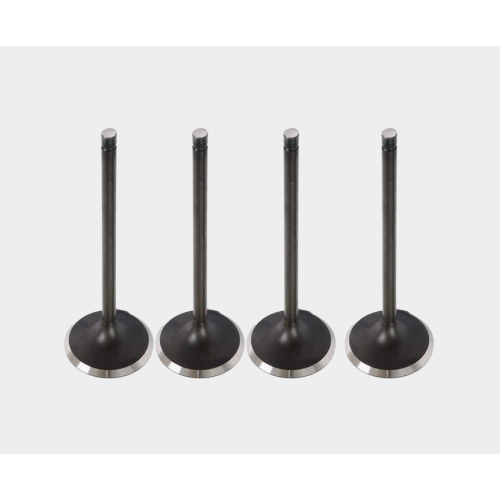Premium Replacement Intake Valves for Diesel