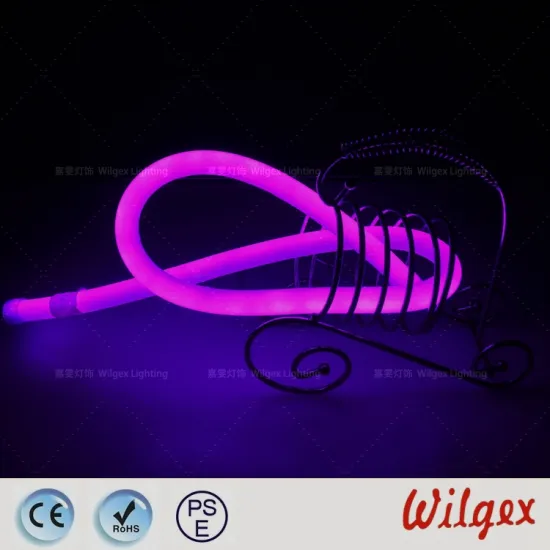 Round Neon flex light
