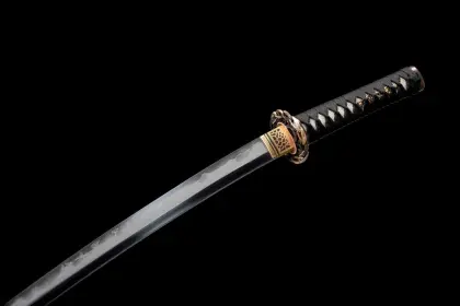 Dragon Soaring Four Seas Samurai Sword