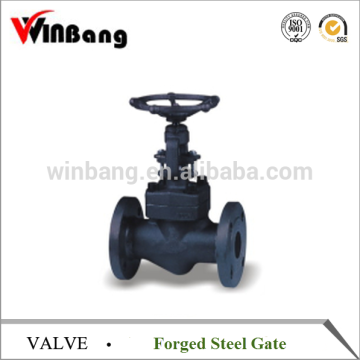 Forged Steel Gate Valve