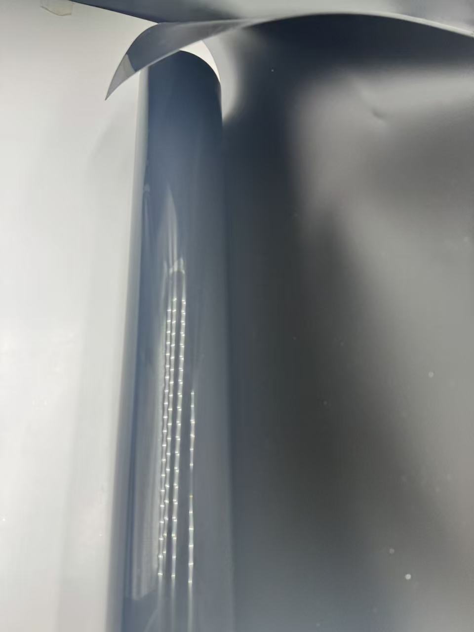PP Disposable Tableware Film