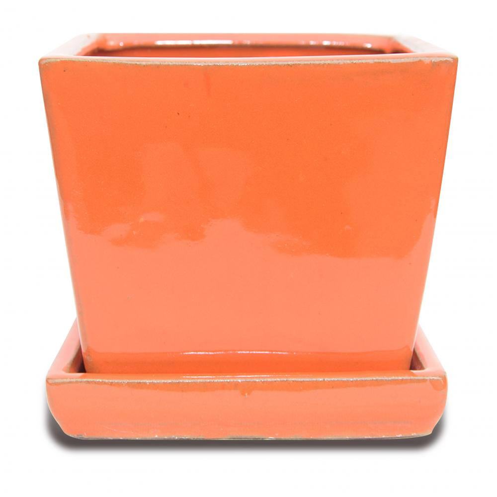 Ceramic Pots Succulents Plants